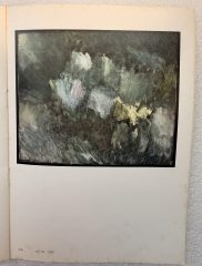 IMG_6396