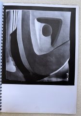 IMG_6554
